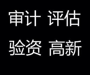 报表审计,税审报告,评估报告,清算报告,贷款审计